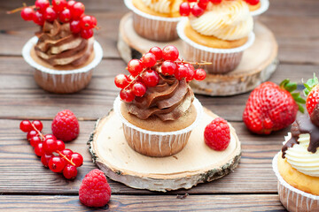 Chocolate and vanilla cupcakes decorated with fresh berries on rustic wooden background