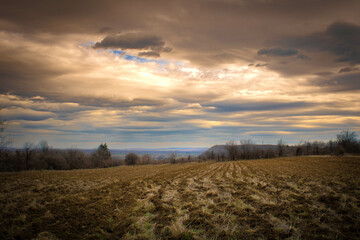 sunset over the field