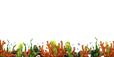 Horizontal marine frame made of tropical fish, corals, algae, stones. Underwater world, digital illustration on a white background. For design, packaging, posters, postcards, textile souvenirs