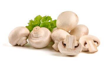 Champignons, close-up, isolated on white background.