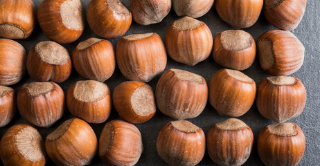 closeup of beautiful hazelnuts for banner background