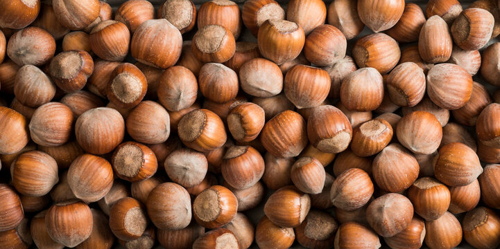 closeup of beautiful hazelnuts for banner background