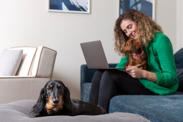 One blond woman wearing green outfit sitting on the couch working on the laptop and two Dachshund dogs 
