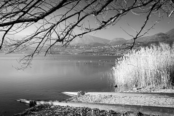 Black and white composition on the lake - 590134097