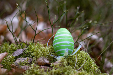 grass on the sand with easteregg