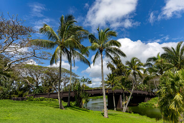 Obraz na płótnie Canvas Tropical Bridge