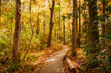 Fototapeta premium autumn in the forest