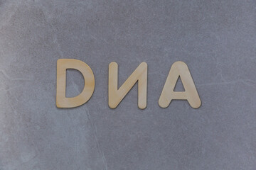 Blond wood capital letters spelling the word DNA against textured grey tile