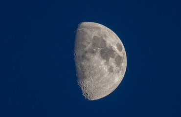 Half Moon