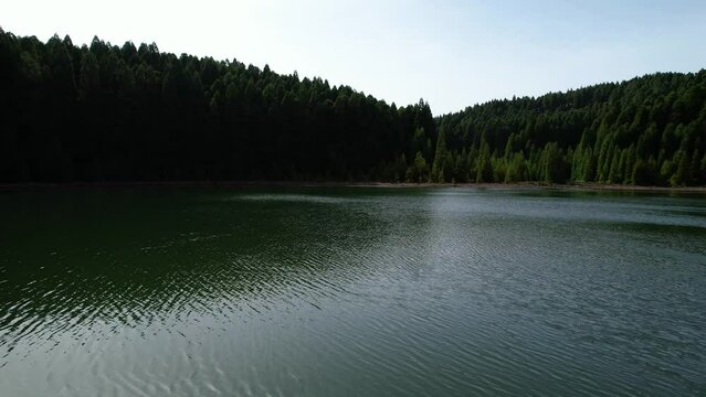 The Lagoa do Canario lake is related to the volcanic formation of the Sete Cidades crater and is surrounded by typical Macaronesian forests and Cryptomeria plantations
