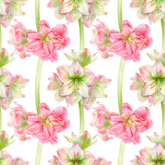 Fototapeta na wymiar Watercolor illustration of seamless pattern with amaryllis flowers.