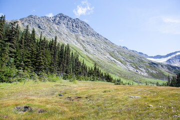 Obraz premium Skagway Town Upper Dewey Lake Summer Landscape