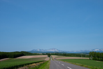 初夏の畑作地帯と残雪の山並み　大雪山
