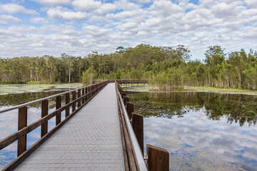 Urunga Wetland & Boardwalk, NSW, Australia - originally a treatment plant for toxic metals, this site has been transformed from a barren wasteland 