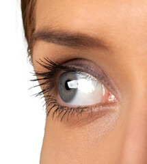 Female blue eye isolated on white background