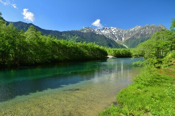 夏の上高地　大正池