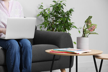 Woman using laptop in living room, focus on houseplant