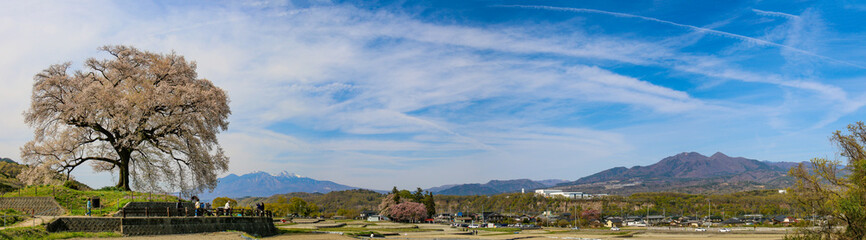 Fototapeta na wymiar 山梨韮崎　わに塚の桜　桜と八ヶ岳と茅ヶ岳のある風景
