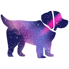 Star dog