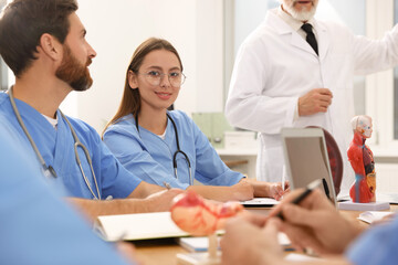 Doctor giving lecture for interns in university