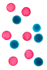 Luffa pollen, whole mount, 80X light micrograph. Red and blue stained pollen grains, a fine, coarse powdery substance, under light microscope. Six combined photos. Isolated, on white background.