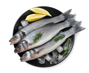 Tasty sea bass fish and ingredients isolated on white, top view