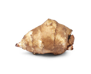 One raw Jerusalem artichoke isolated on white