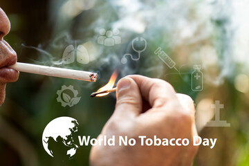 Cigarettes destroy lives and the environment. World No Tobacco Day Concept.