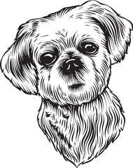 PETS IN VECTOR ILLUSTRATIONS SUITABLE FOR YOUR NEEDS