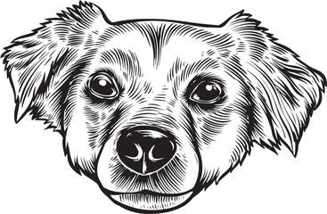PETS IN VECTOR ILLUSTRATIONS SUITABLE FOR YOUR NEEDS