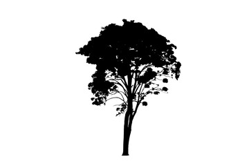 Isolated image of tree silhouette on png file on transparent background.