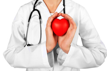 Closeup of a Doctor Holding a Heart