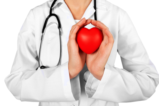 Closeup of a Doctor Holding a Heart