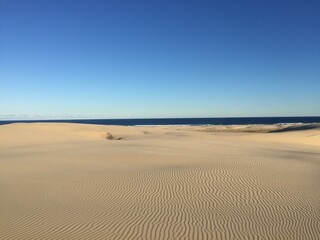 sand dunes on the beach