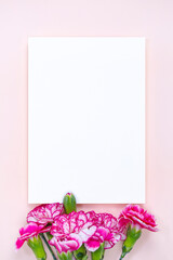 카네이션 카드 목업