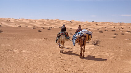Camel trek through the Sahara Desert, outside of Douz, Tunisia