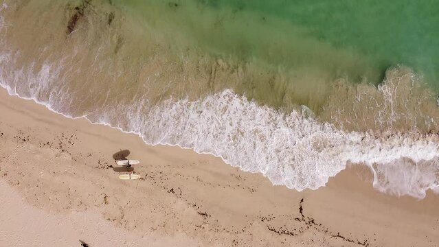 Vertical or horizontal aerial drone shot of two girls with surfboards and a dog walking on beach in Exmouth, Western Australia. 