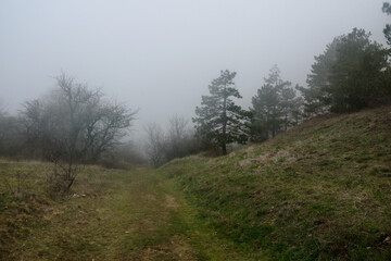 Landscape of Karadag Reserve in spring. View of trees on mountain in fog and clouds. Crimea