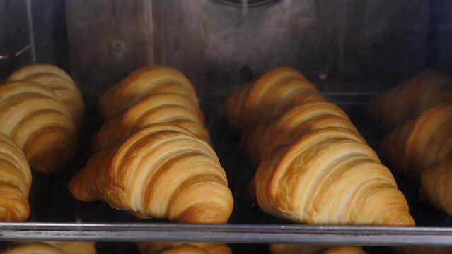 Timelapse of croissants baked in oven. Classic Viennoiserie made of puff pastry. French bakery. baking process. Making croissants. Time Lapse of cooking homemade bakery croissants rising up. 4 k video