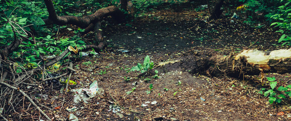 Garbage pile in forest among plants. Toxic plastic into nature everywhere. Rubbish heap in park among vegetation. Contaminated soil. Environmental pollution. Ecological issue. Throw trash anywhere.