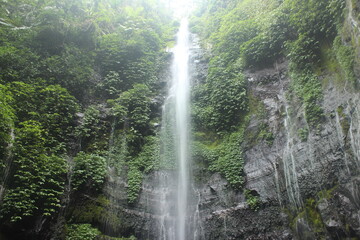 Fototapeta na wymiar Landscape photo of Lawe Waterfall in the middle of a forest in Semarang Indonesia