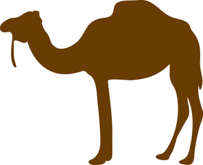 camel flat illustration on transparent background