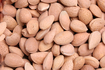 dry fruits seeds background