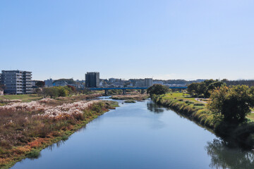 入間川（埼玉県狭山市）