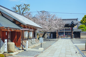 春の壬生寺 京都府 日本