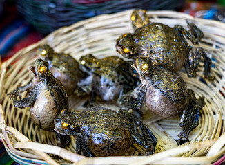 Frogs inflated and desiccated, sold by witches aka pharmacists in Bolivian markets for traditional ceremonies.