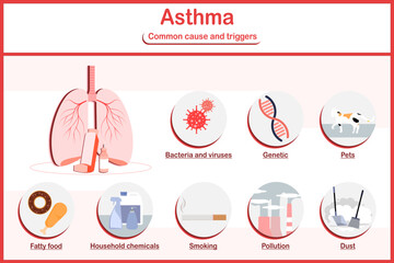 Vector illustrations infographic.human lungs with inhaler and common cause and triggers of asthma,pollution,pets,fatty food,dust,smoking,genetic.flat style. - obrazy, fototapety, plakaty