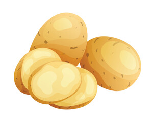 Set of potato whole, half and cut slice illustration isolated on white background