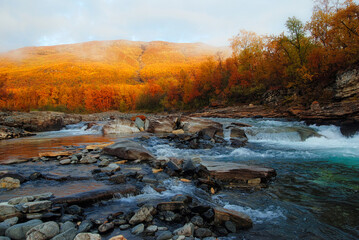 Flowing water in autumn. Abisko national park in north of Sweden.