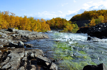 Flowing water in autumn. Abisko national park in north of Sweden.